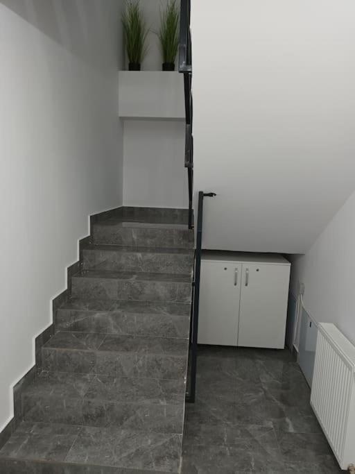 Old Town Studio 2 Apartment Nr 4 Baia Mare Luaran gambar