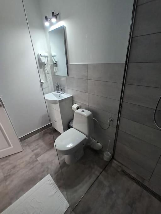Old Town Studio 2 Apartment Nr 4 Baia Mare Luaran gambar