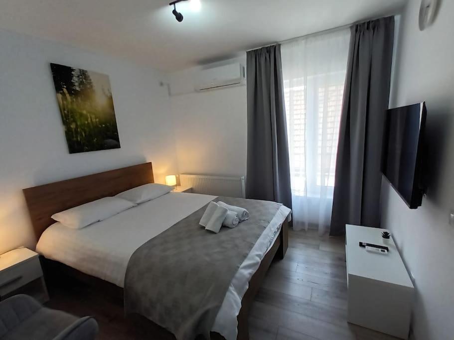 Old Town Studio 2 Apartment Nr 4 Baia Mare Luaran gambar