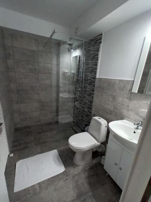 Old Town Studio 2 Apartment Nr 4 Baia Mare Luaran gambar