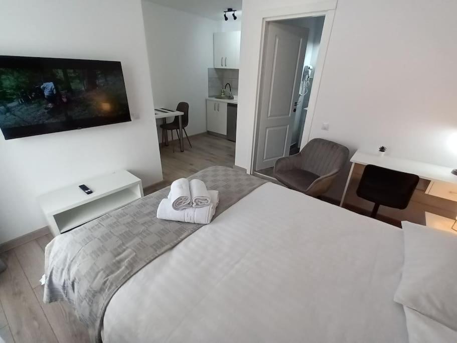 Old Town Studio 2 Apartment Nr 4 Baia Mare Luaran gambar