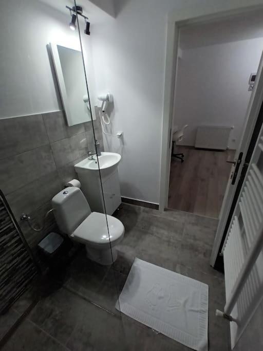 Old Town Studio 2 Apartment Nr 4 Baia Mare Luaran gambar