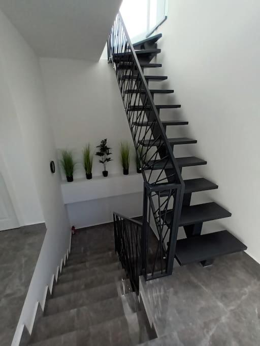 Old Town Studio 2 Apartment Nr 4 Baia Mare Luaran gambar